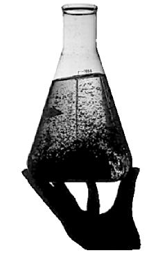 la experiencia cientifica