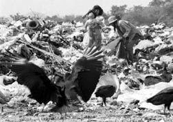 economia por la via correcta