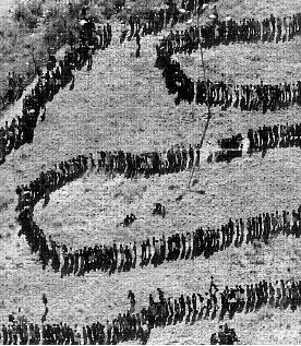 redes de investigacion