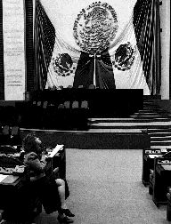 diputados-extraordinaria