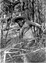 caeros-morelos-1-jpg