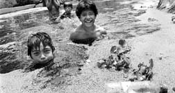 cancun contaminado para pobres