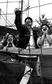 inteligencia y razon en pleno