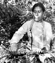 Dr. Àse acordo usted de ellos el miercoles?