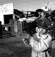 explosion-celaya-cuetes-jpg