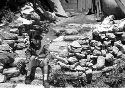 dr Àsigue usted insitiendo en que todo va bien?