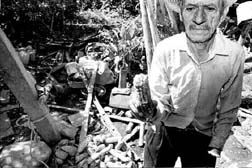 La inundacin en Papantla afect las trojes en que se almacena el maz. En la imagen, un vecino muestra una mazorca podrida n Foto: Francisco Olvera