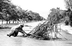 Campesinos tabasqueos retiran restos vegetales de la carretera Panamericana Ðprincipal va de comunicacin ente Villahermosa y MxicoÐ, por la cual slo se permite que transiten vehculos que pesen ms de tres toneladas. A la derecha, un bordo hecho con sacos de arena protege la colonia Las Gaviotas, a orillas del ro Grijalva n Fotos: Toms Bravo