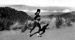 Ms recorrido y menos estmulo en la competencia, afirman los maratonistas