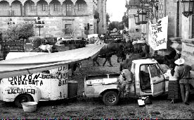 barzon-gdl-planton 1-jpg