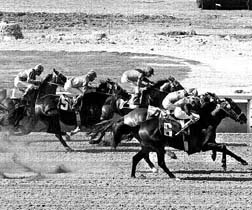 Rumbo a la meta n Foto: Guillermo Sologuren