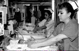 sextillizos-monterrey-1-jpg