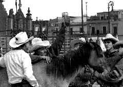 barzonistas-planton-zocalo-jpg