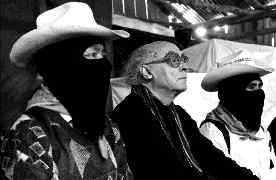 saramago-oventic2-jpg