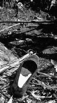 acteal-campamento-zapato-jpg