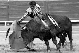 san-roman-toros-1-jpg