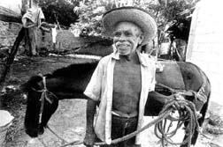 sombras de mi ciudad1