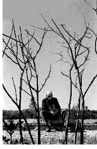 saramago-visita-oventic3-jpg