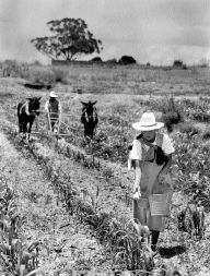 frente-la-yunta-campo-tlax