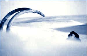 mamut-investigador-jpg