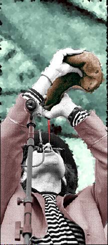 Joaqun Sabina, chamn posmoderno, poeta, aunque l no quiera que le llamen as n Fotos: Cristina Rodrguez