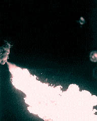 Los juegos bufnicos n Foto: F. Aceves