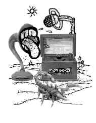 ilustracion central