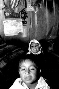 Chila Enrquez, Veracruz n Foto: Rosaura Pozos