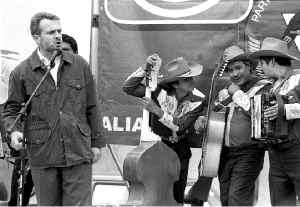 creel-campaa-tetepilco-1-jpg