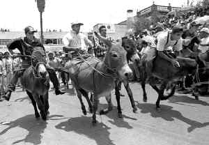 burro-feria-otumba-7-jpg