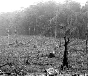 chiapas-la-culebra-jpg