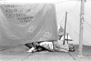 maestros-planton-zocalo-2-jpg