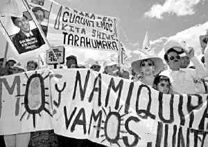 cardenas-chihuahua2-jpg