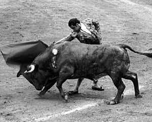 'chaval'.02.resumentoros