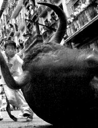 SPAIN_BULL_RUN-OK