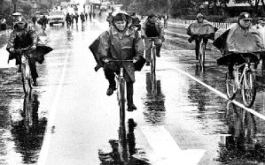 policletos-planton-jpg