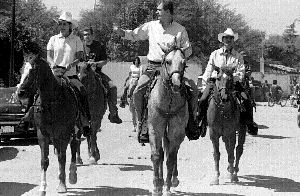 Ťfox-vicente-caballos-gto-jpg