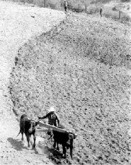 vc-arado-ejido-campo