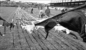 brasieres-guines-3-jpg