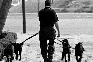 vc-paseo-familiar-jpg