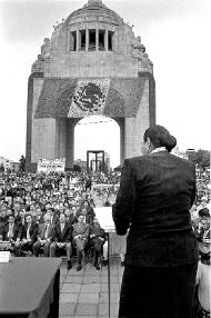 sauri-dulce-maria-calles-jpg