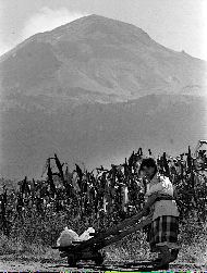 popo-rutas-evacuacion-4-jpg