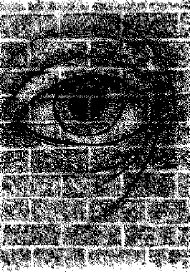 llueve sobre mojado5