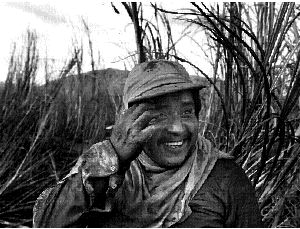 zafra-azucar-jalisco-7-jpg