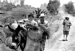 familia-regresan-campo-tlax