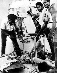 CUBA_CUBAS_PUBLIC_ENEMY