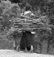 MEXICO_CHIAPAS_WHATS_AHEAD_2