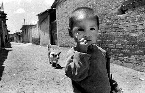 irregular-flores-magon-jpg