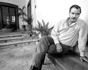 fox-vicente-casa-4-jpg