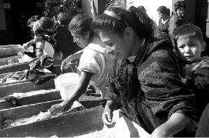 seoras-lavan-albergue